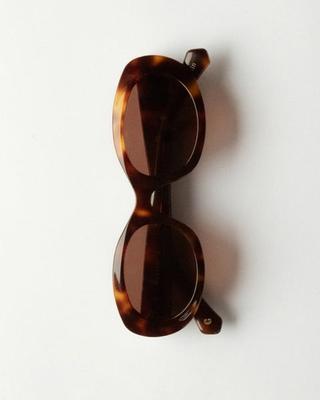 tortoise brown