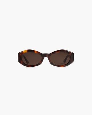Tortoise Brown